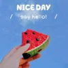 watermelon airpod case